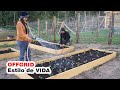 Plantamos MUITA Beterraba para o INVERNO │ Projeto HORTA ep 05