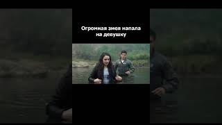 Огромная змея напала на девушку | Отрывок из Фильма