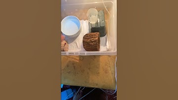 آنباکس مار 😍🐍🔥 #ballpythoncare #ballpythonsnake #snake #مار #python #پایتون #reptile