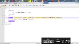 14 - hidden and file input in HTML