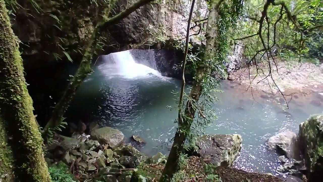 Природный мост, где наблюдался Бигфут Йови (внутренняя часть Голд-Коста, Квинсленд).
