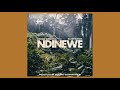 Ndinewe Remix Gemma Griffiths Ft Linex Barakah The Prince Official Audio G46 AFRO BEATS mp3