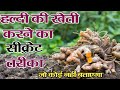 हल्दी की खेती करने का सीक्रेट तरीका जो कोई नहीं बताएगा,Turmeric Cultivation,Rn kushwaha