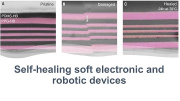 [005] Self-healing soft electronic and robotic devices