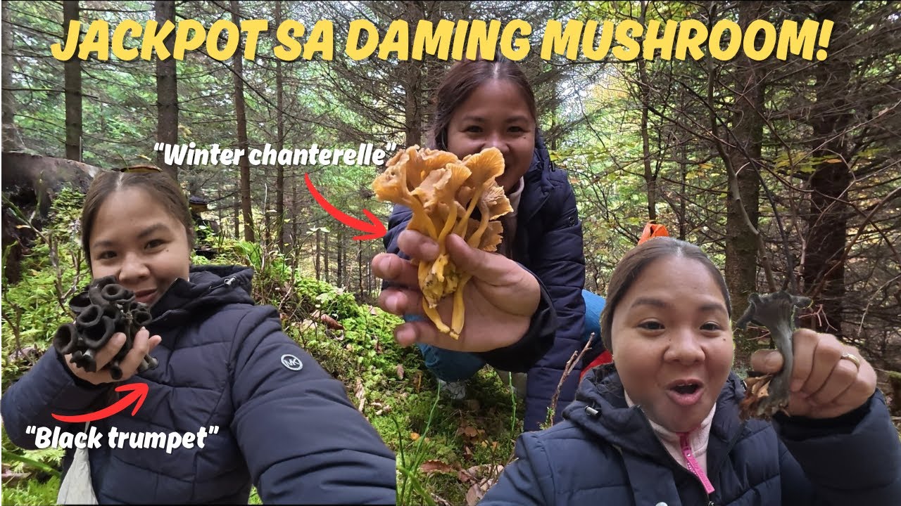 Grabe! 😱 Hindi Ko Inexpect Ganito Karami Ang Mushrooms sa Probinsya ng Germany. 