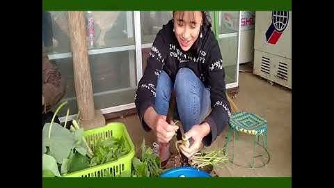 Cách nấu canh bon siêu ngon của người thái Tây Bắc  Cắt cơn em nó, chiến em nó.