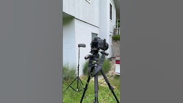 Beehive Modern Options