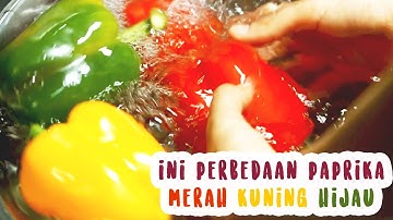 Inilah Perbedaan Paprika Hijau, Kuning, dan Merah ! Apakah Rasa dan Nutrisinya Sama ?