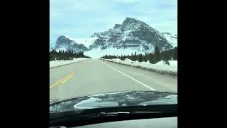  Chilling with Swayze & Alberta Update my Boi J has Beautiful Land Views. 