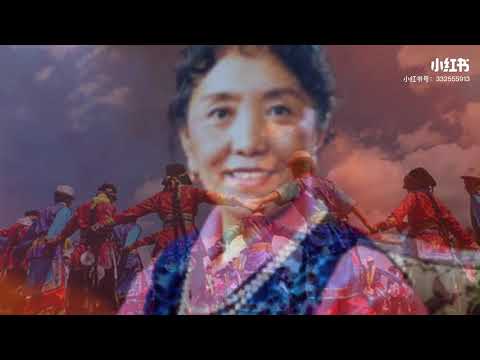 才旦卓玛《翻身农奴把歌唱》复音口琴版#经典老歌 #口琴 #西藏 #老歌