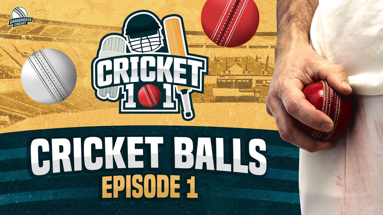 Cricket 101 What are the differences between various types of Cricket