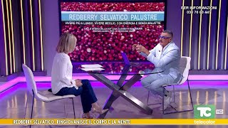 Erbe medicali: Redberry selvatico, ringiovanisce il corpo e la mente