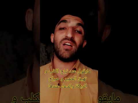 حديث النبي صلى الله عليه وسلم عند سماع نباح الكلاب و نهيق الحمير وصياح الديك اكسبلور حديث ترند