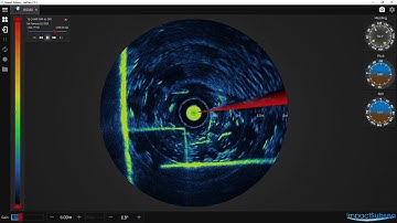 ISS360 Sonar for ROVs and AUVs - Demonstration of the Power of CHIRP Acoustics