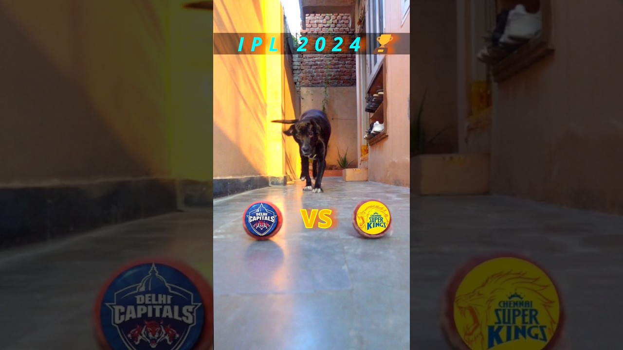 DC VS CSK MATCH PREDICTION | IPL 2024 | MATCH NO.13 | 