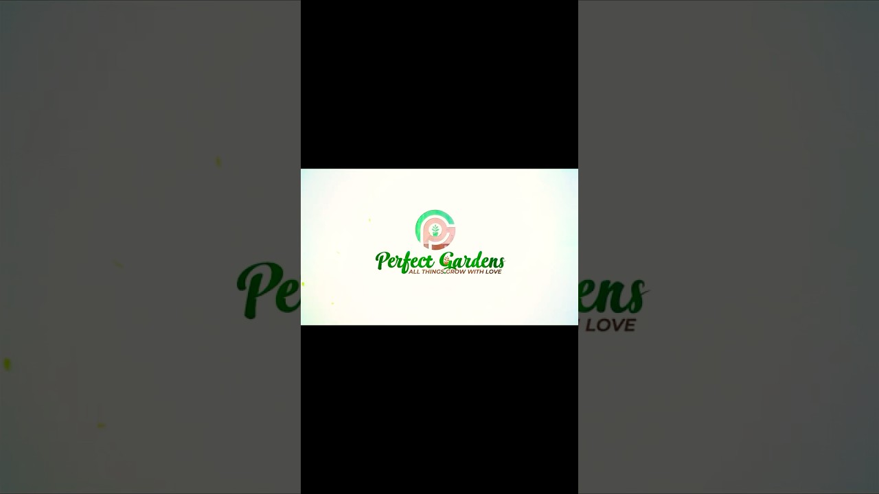 🌿 Private Garden Project Part 1 | Pathway Base with Saadarahalli Stones | Perfect Gardens Bangalore