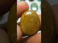 pirus Persia hijau pupus #piruslawasan #shortvideo #shorts #pirus #turquoise