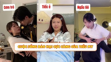 Cuộc Sống Báo Hại Đa Vũ Trụ Của Tiểu My (Báo Hại) | Mỗi Ngày Một Hài #shorts