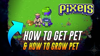 HOW TO GET PET AND HOW TO GROW PET IN PIXELS ONLINE screenshot 4