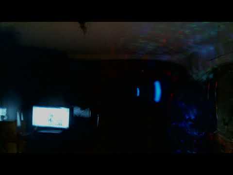 LIVIT Taiwan (Fish) sing