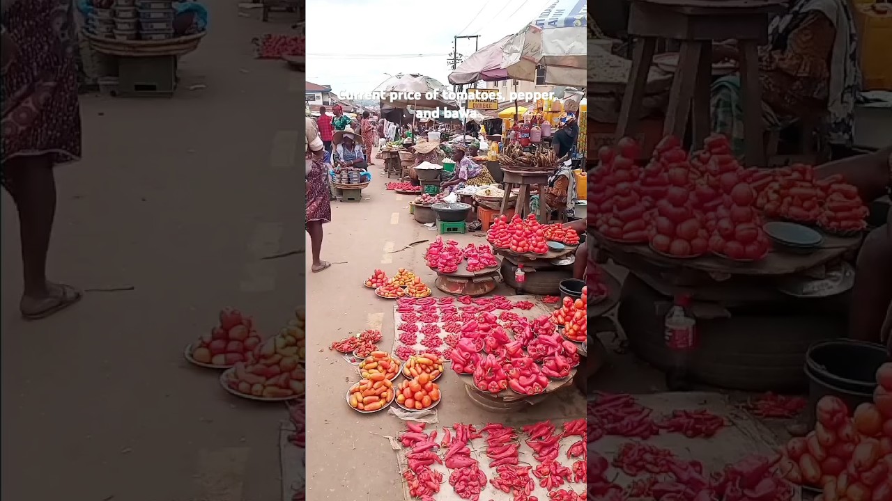 Current price of tomatoes, pepper, bawa in Ibadan 