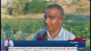 تقرير التلفزيون الأردني حول مدارس الباميا الحقلية في وادي الأردن
