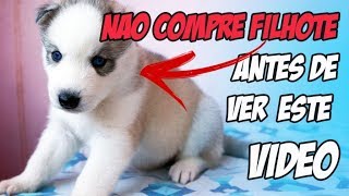 10 Coisas que Você Precisa Saber ANTES de ter um FILHOTE