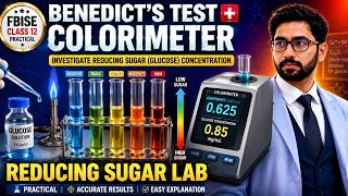 Benedict's Test for Glucose Concentration using Colorimeter | Class 12 Biology PBA FBISE