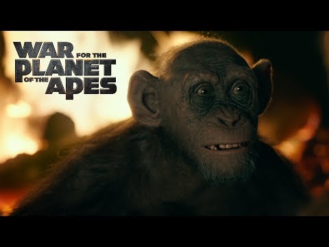 Planet Of The Apes 3 (2017)