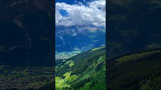 Teri Meri Pyar Bharishorts youtubeshorts viralshorts trendingshorts nature