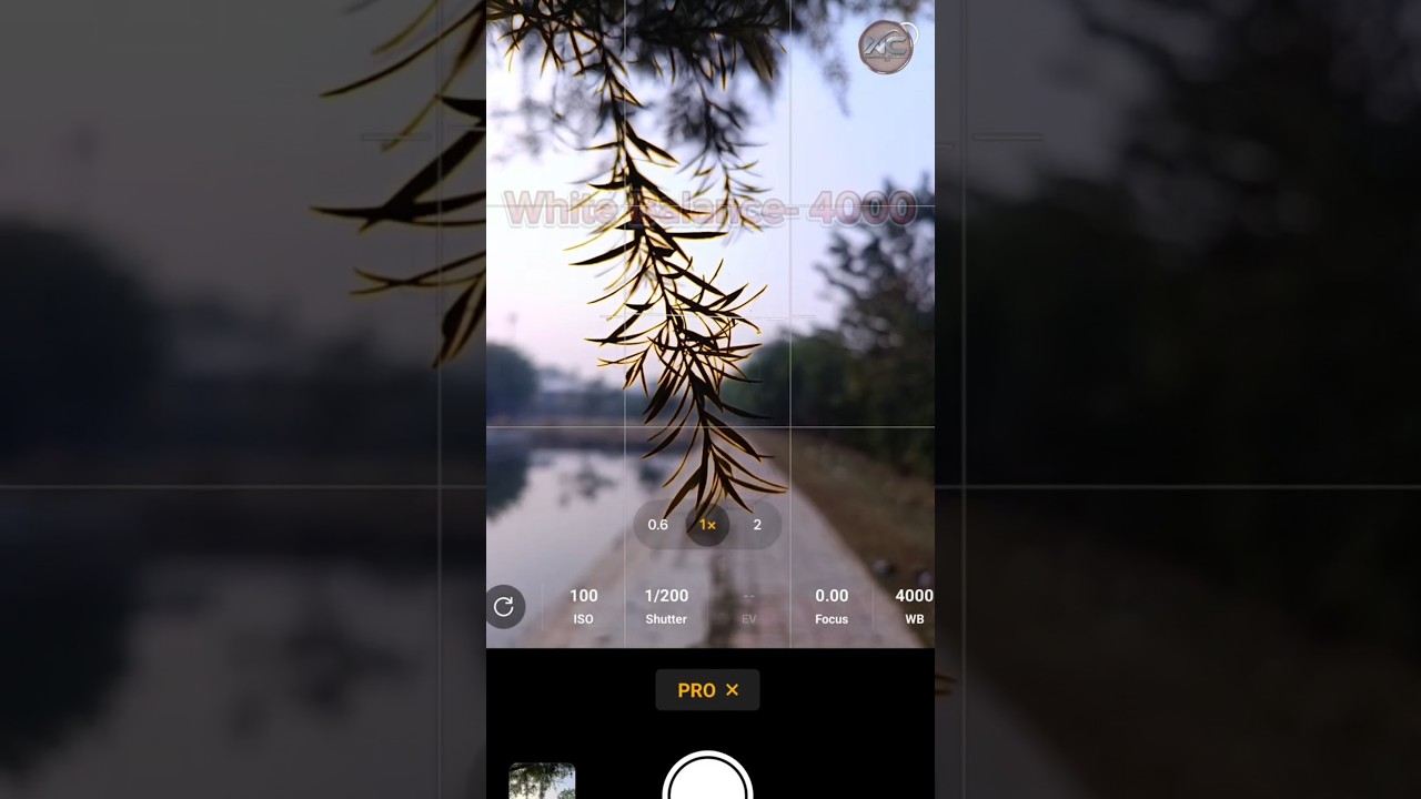 Photography Of Green Leaves With Pro Mode 📳 