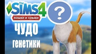 The Sims 4 \