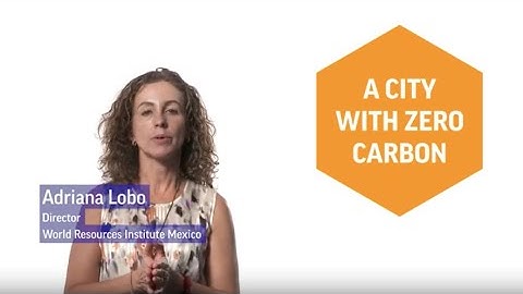 Unleash the Power of Cities