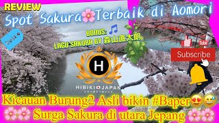 Nyanyian Burung di spot Sakura Terbaik di Aomori