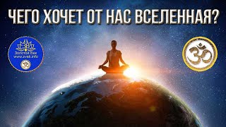 Чего хочет от нас Вселенная?