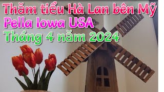 Tiểu Hà Lan và hoa tulip nở rất đẹp.