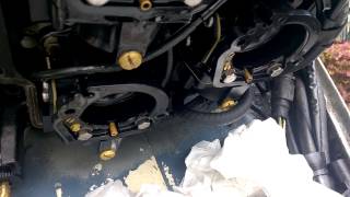 Evinrude Carb Leaking Gas
