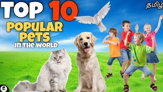 Top 10 Popular pets in the world | cute | strange | scary | funny