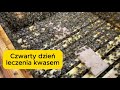 Czwarty dzień leczenia - 5 sierpnia 2025 #bee #beekeeping #beekeeper