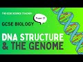 DNA Structure &amp; the Genome (GCSE Biology) | The GCSE Science Teacher Mp3 Song