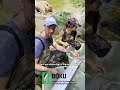 A day at work: fish sampling | BOKU University