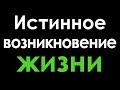 Неопровержимое доказательство творца вселенной