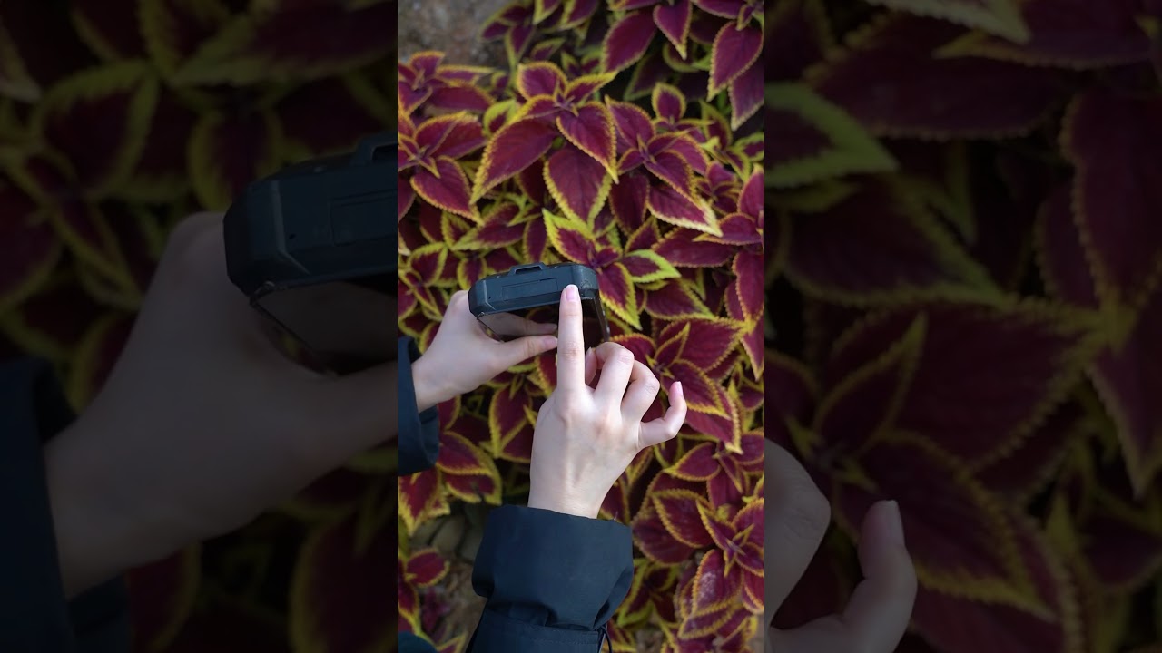 Innovation Meets Durability – The TANK 2 Pro Way!