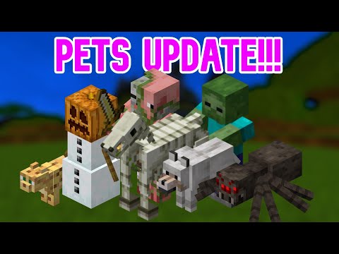 New Pets Update Leaked Hypixel Skyblock
