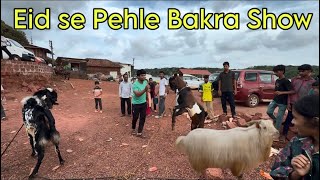 Hamare Katali Gaon Ke Sab Bakre Ek Sath | Rahid Solkar Vlogs 