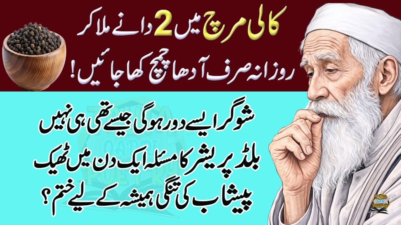 Quotes About life | Rumi Quotes | Sunheri Golden Words | Best Urdu Quotes | Hikmat ke baatin