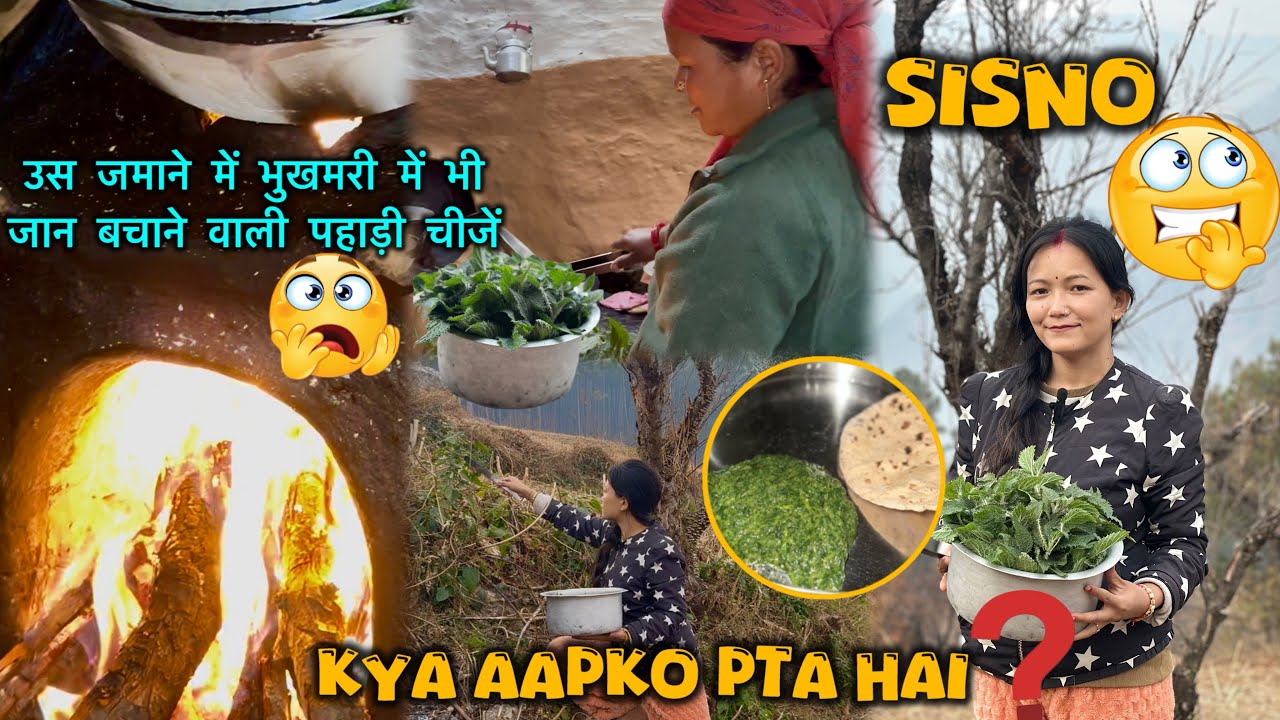 kya Aapko Pata Hai Ye Chijon Ke Bare Me ? // Aaj Dhundne Gayi Sisno 🤭// Rekha Vlogs 