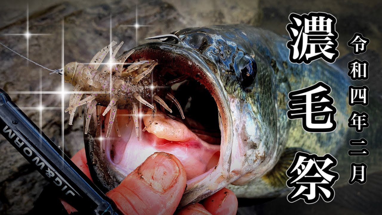 冬のバス釣り 22年2月 貴重なブラックバスが連発して釣れました Winter Bassfishing Hideup Coike Shrimp Big Youtube