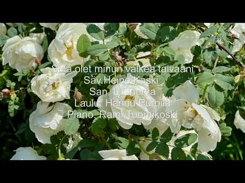 Sinä olet minun