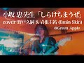 小坂 忠 先生「しらけちまうぜ」cover 野戸久嗣&amp;岩根圭佑(Brain Skin)@Green Apple